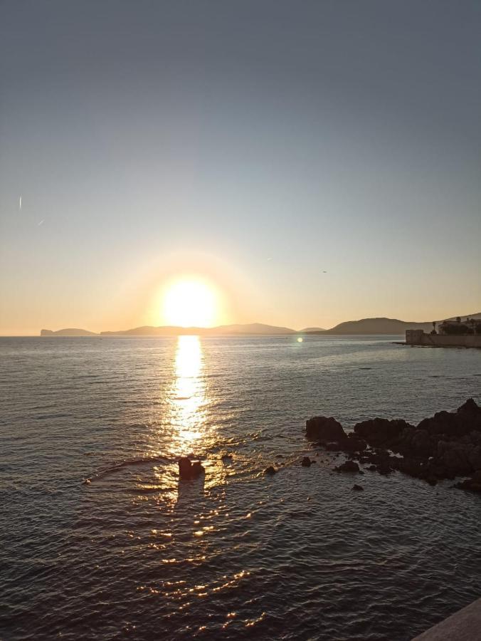Appartamento Isola Catalana Alghero Eksteriør billede