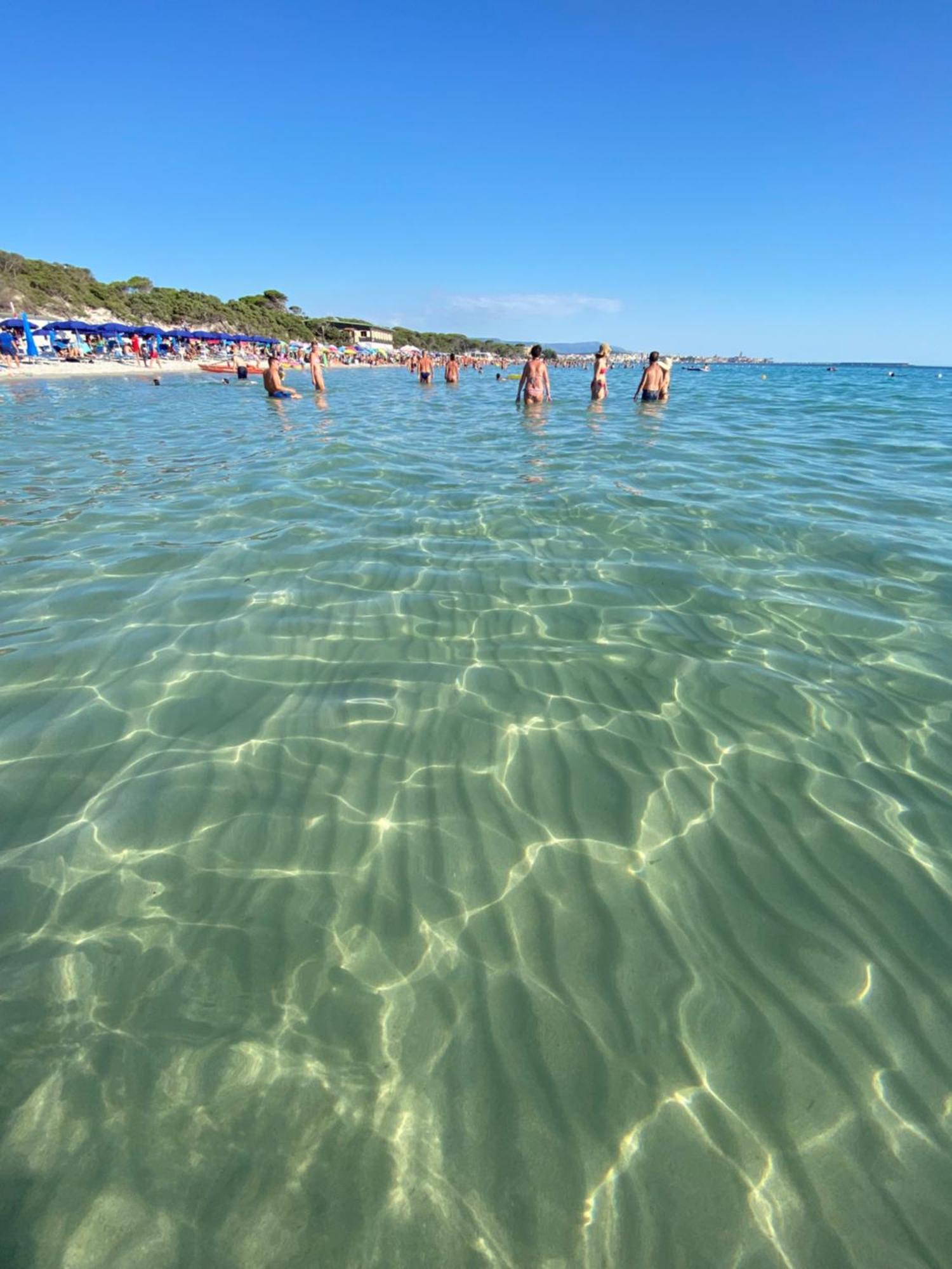 Appartamento Isola Catalana Alghero Eksteriør billede