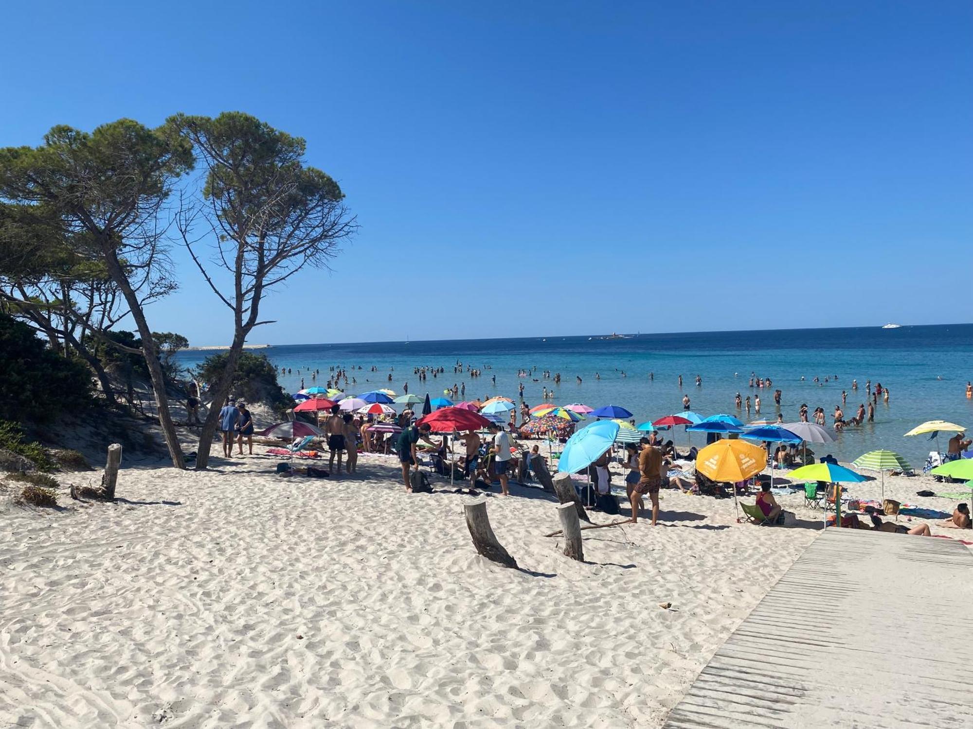 Appartamento Isola Catalana Alghero Eksteriør billede
